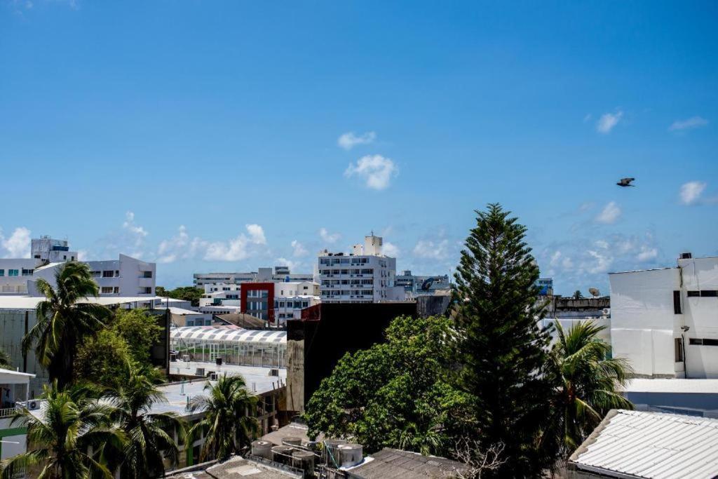 Santa Catalina 404 Lejlighed San Andrés Eksteriør billede